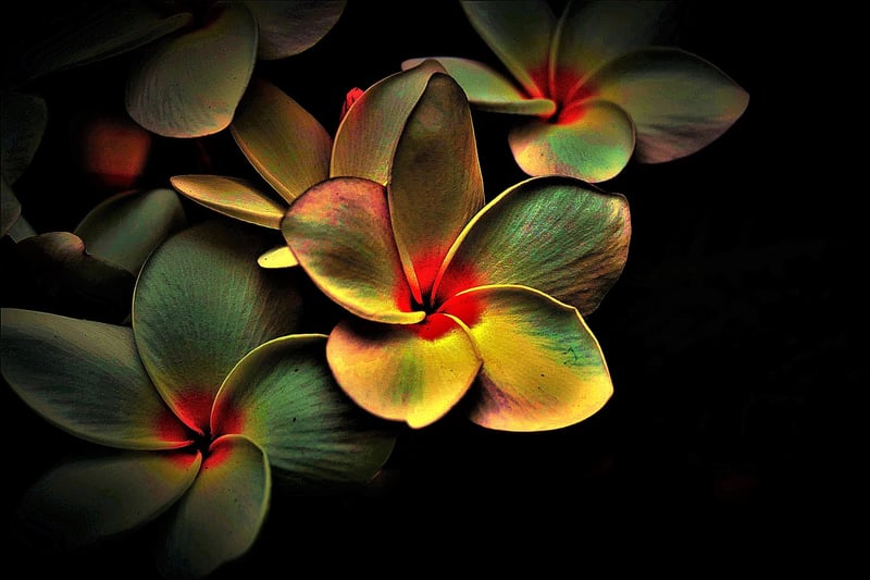 Pattern Recognition